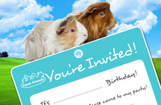 Invitation Card